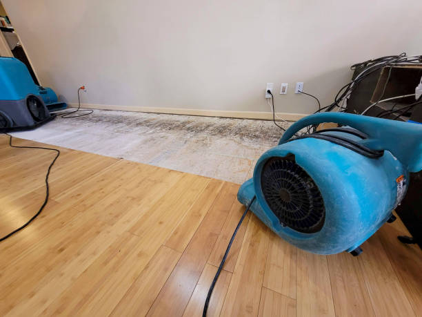 Reliable Water Extraction contractor in Irvington, NJ by Hirex Water Damage