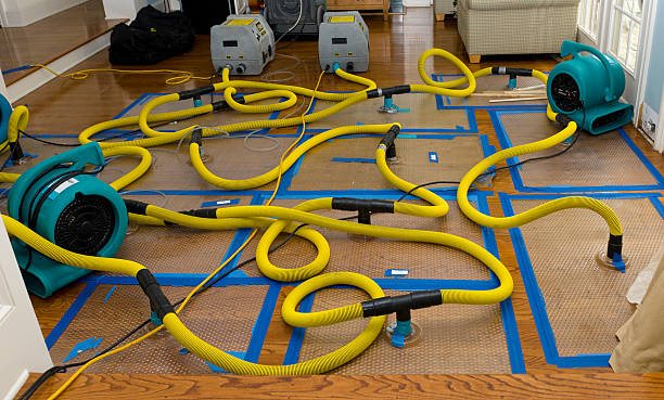 Professional Water Extraction technician working in Irvington, NJ
